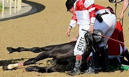 Horse Races Kill Horses