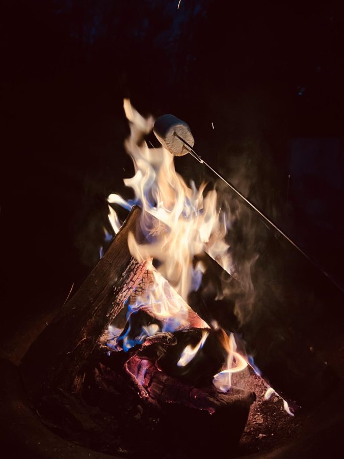 Campfire during autumn.