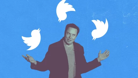 Elon’s Bad Decision and Twitter’s Downfall